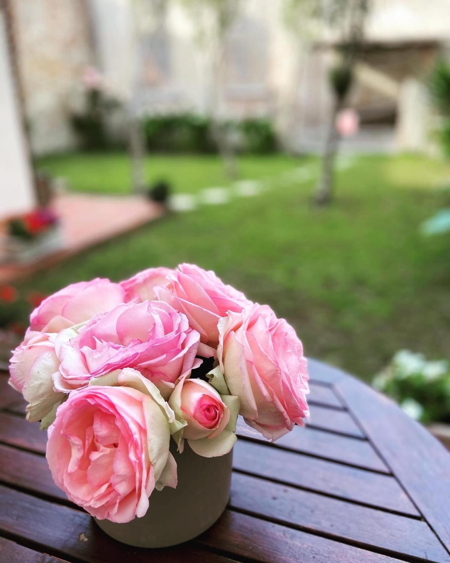 Victoria House B&B Piza Zewnętrze zdjęcie