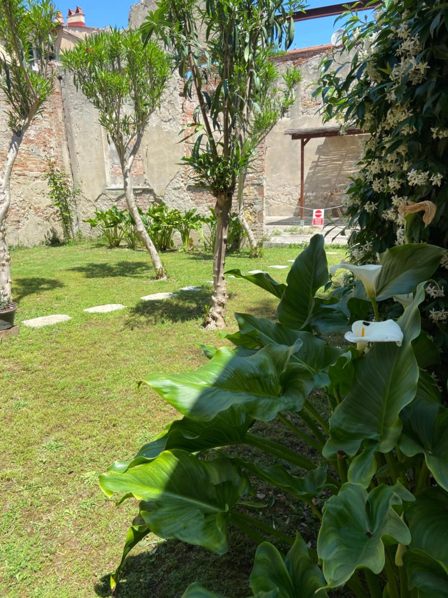 Victoria House B&B Piza Zewnętrze zdjęcie